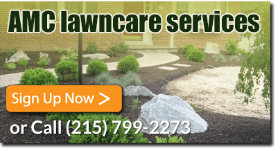 AMC Lawncare Services